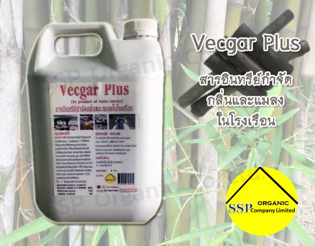 Vecgar Plus
