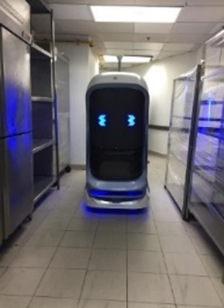 DD ROBOT : Mobile Robots for Hospitals